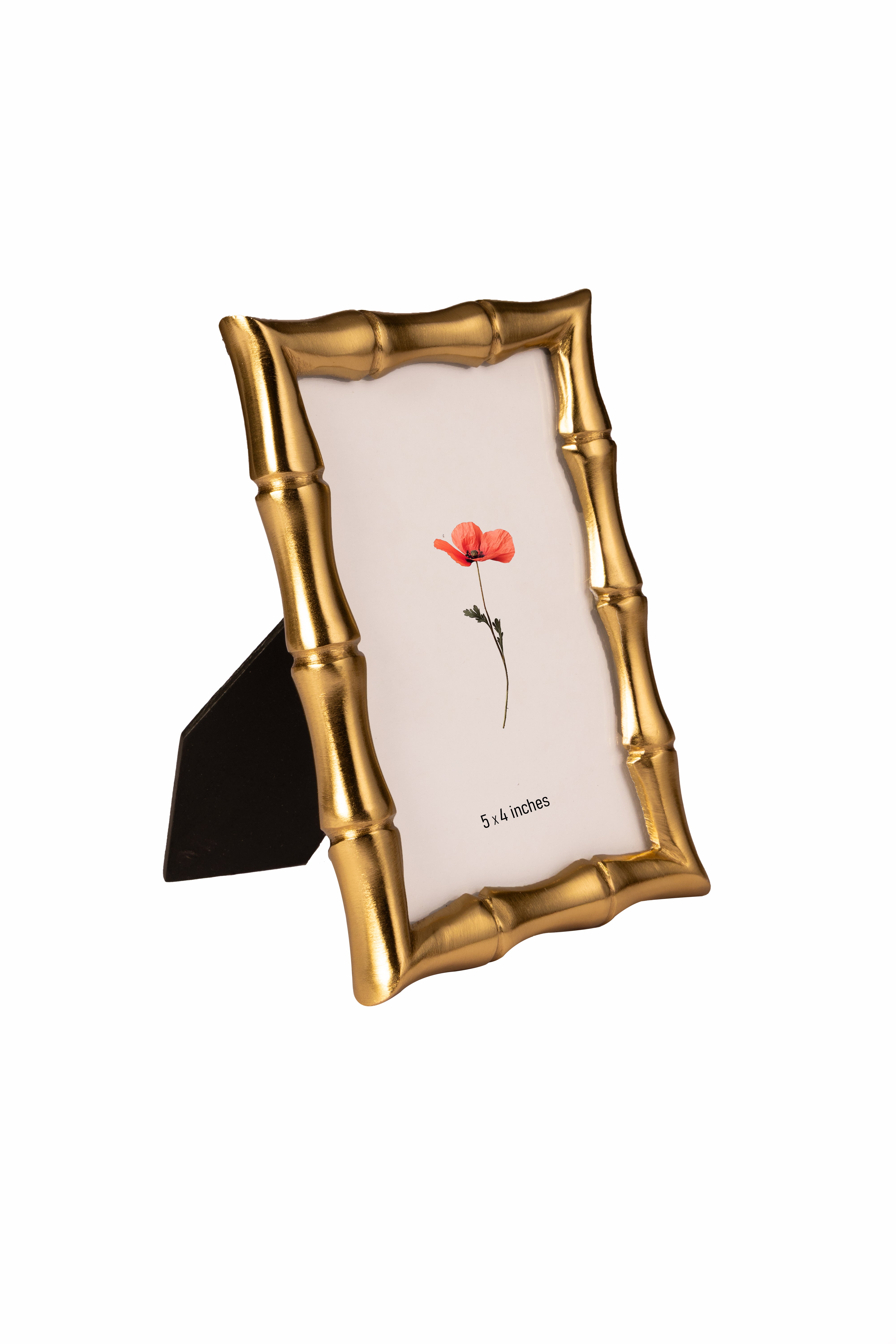 Zen Gold Photo Frame