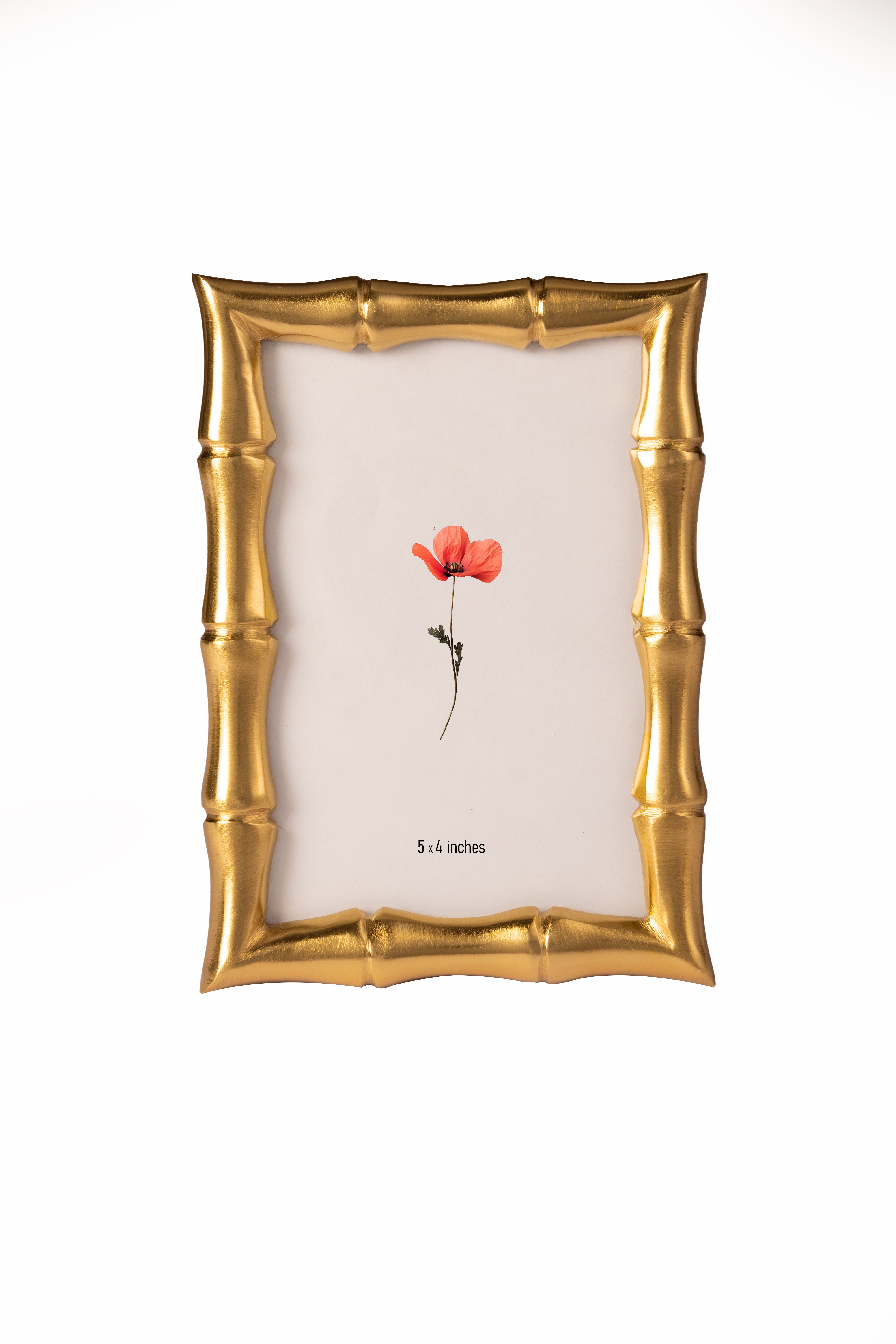 Zen Gold Photo Frame